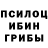 Псилоцибиновые грибы MAGIC MUSHROOMS Maksim Shef
