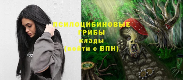 гидра Абинск
