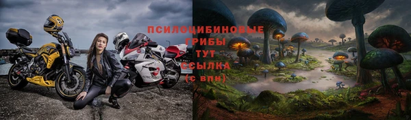 спиды Абдулино